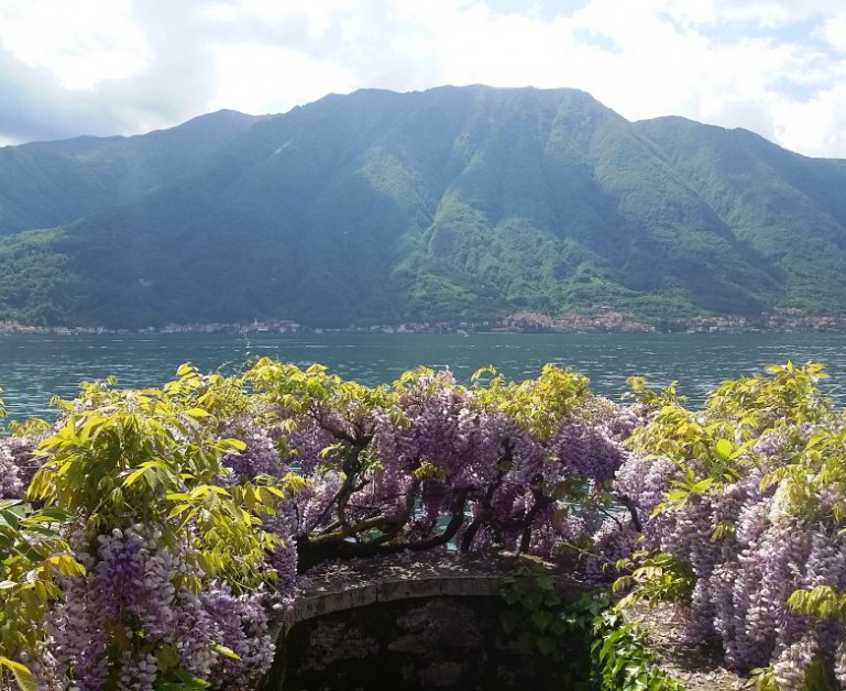 Свадьбы в Италии, Lake Como, Como & Province, Luxury Villa B*, с Italia Viaggi. Фото 9